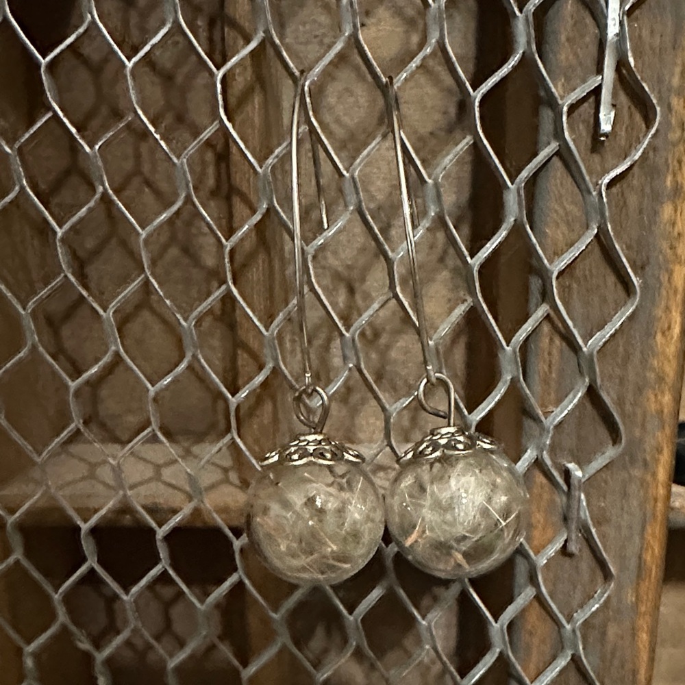 Elegant Silver Dangle Earrings